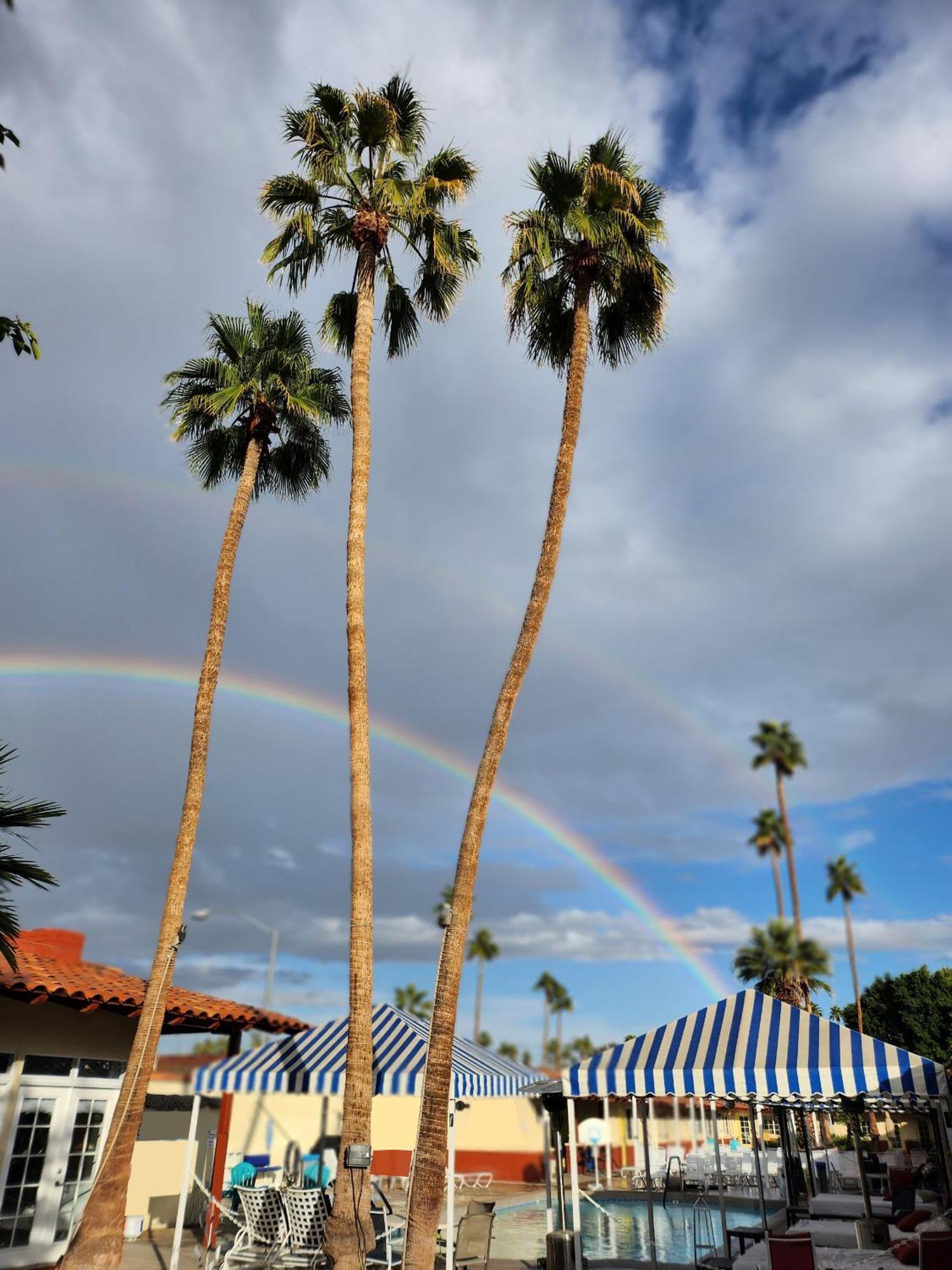 Exotic Dreams Adults Only Hotel Palm Springs